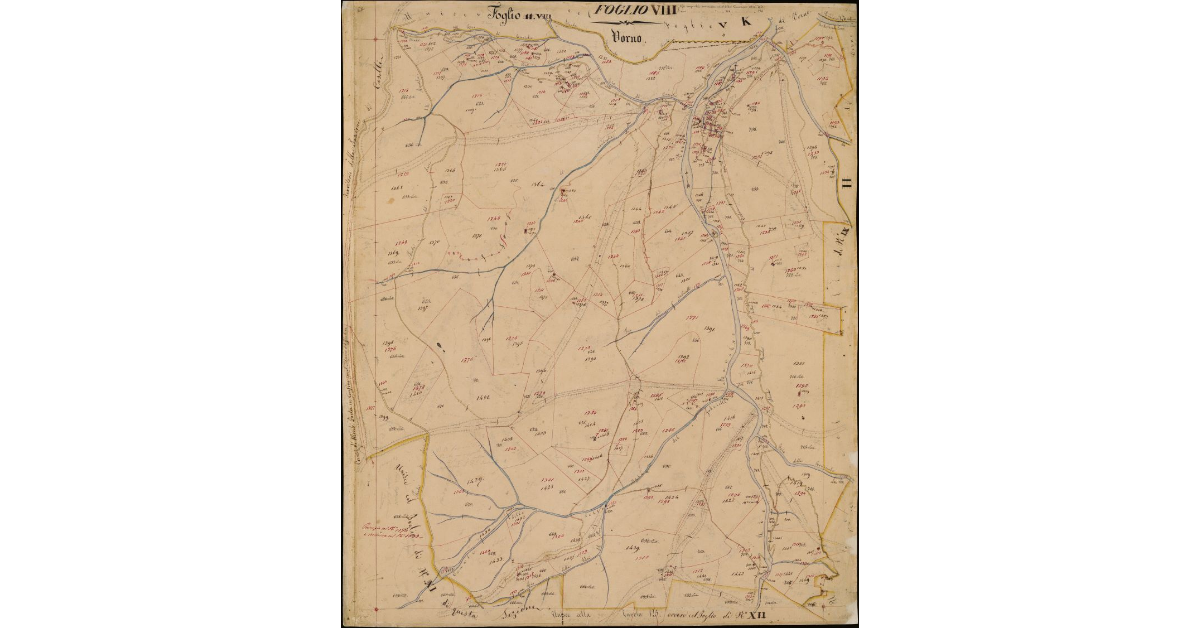 Foglio VIII