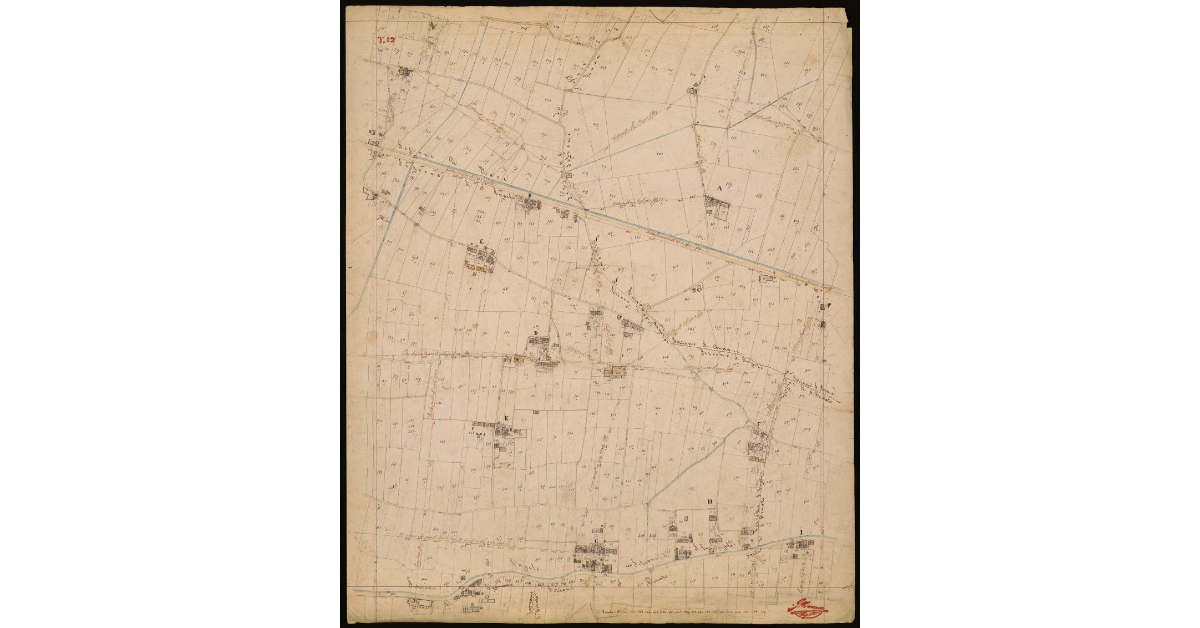 T. 12 [Quinto Circondario]