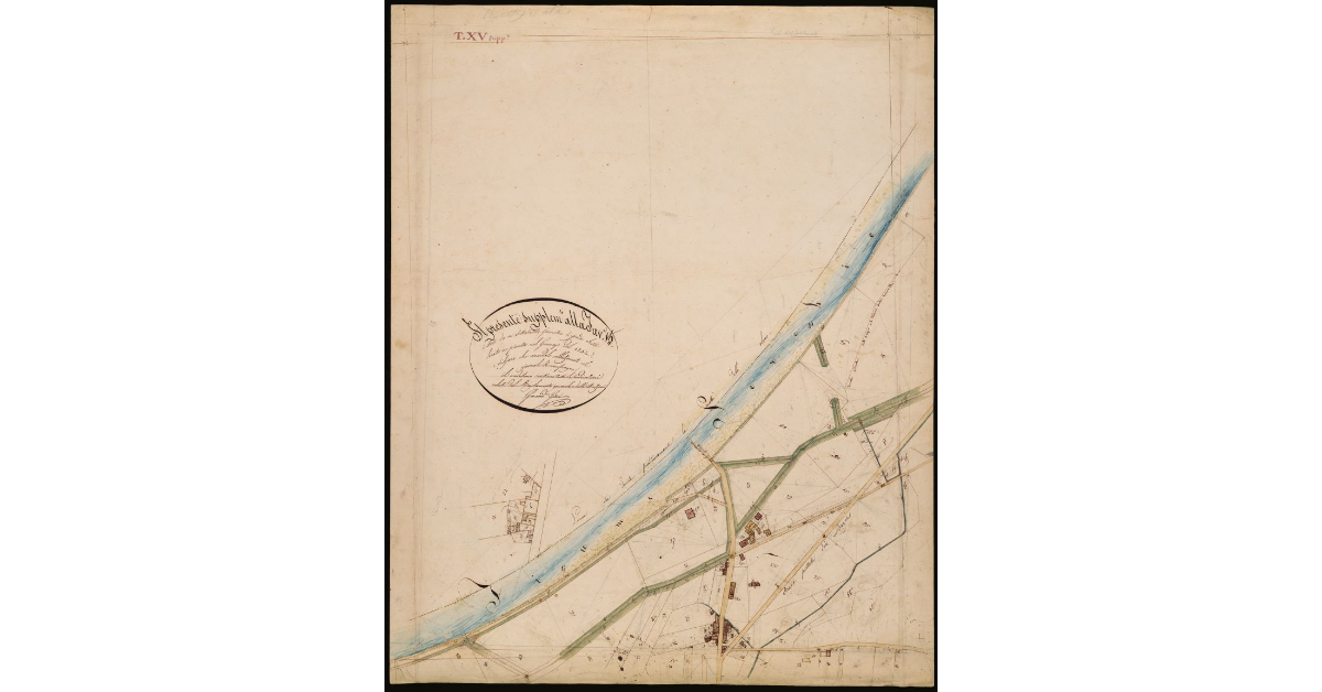 T. 15 [Quinto Circondario - Supplemento]