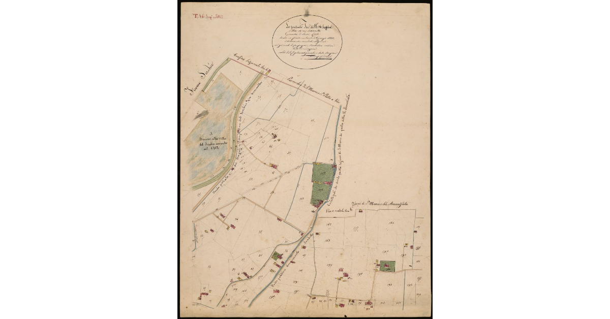 T. 16 [Quinto Circondario - Supplemento]