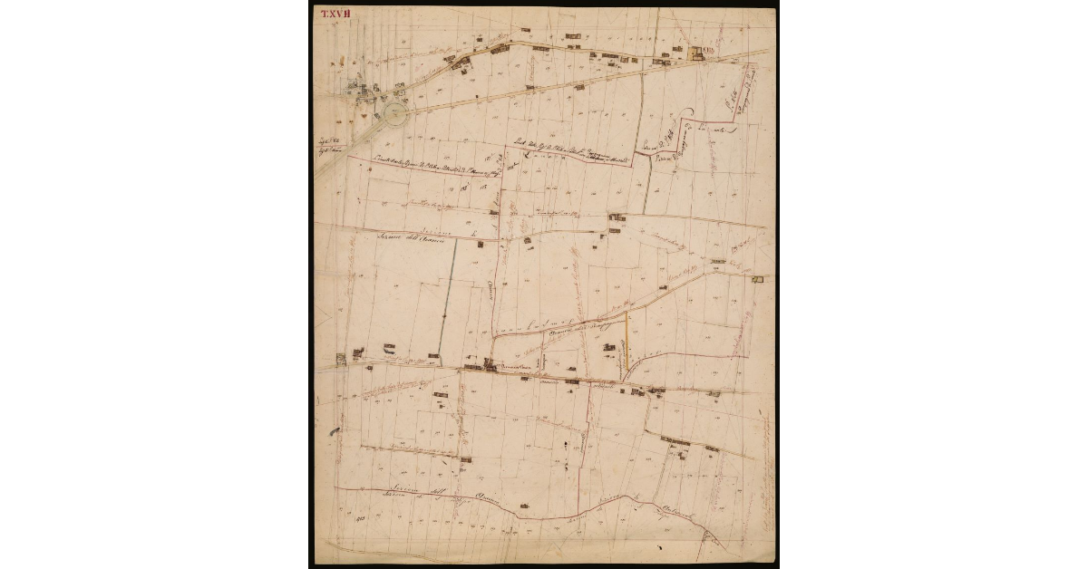 T. 17 [Quinto Circondario]