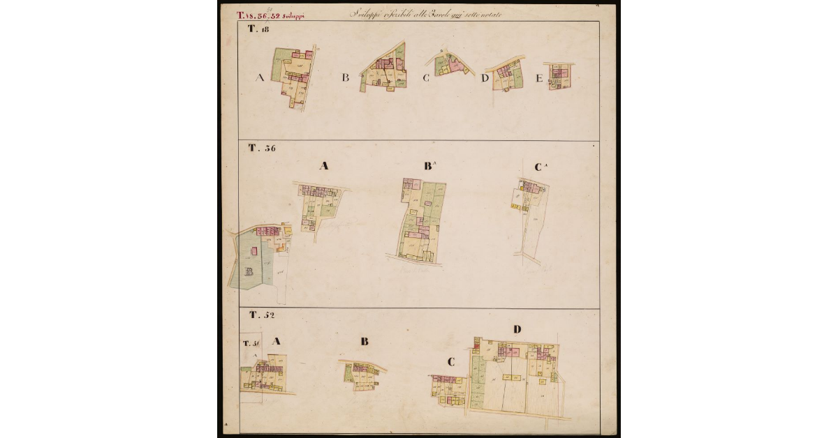 [T. 18, T. 36, T. 51, T. 52 - Quinto Circondario-Sviluppi]
