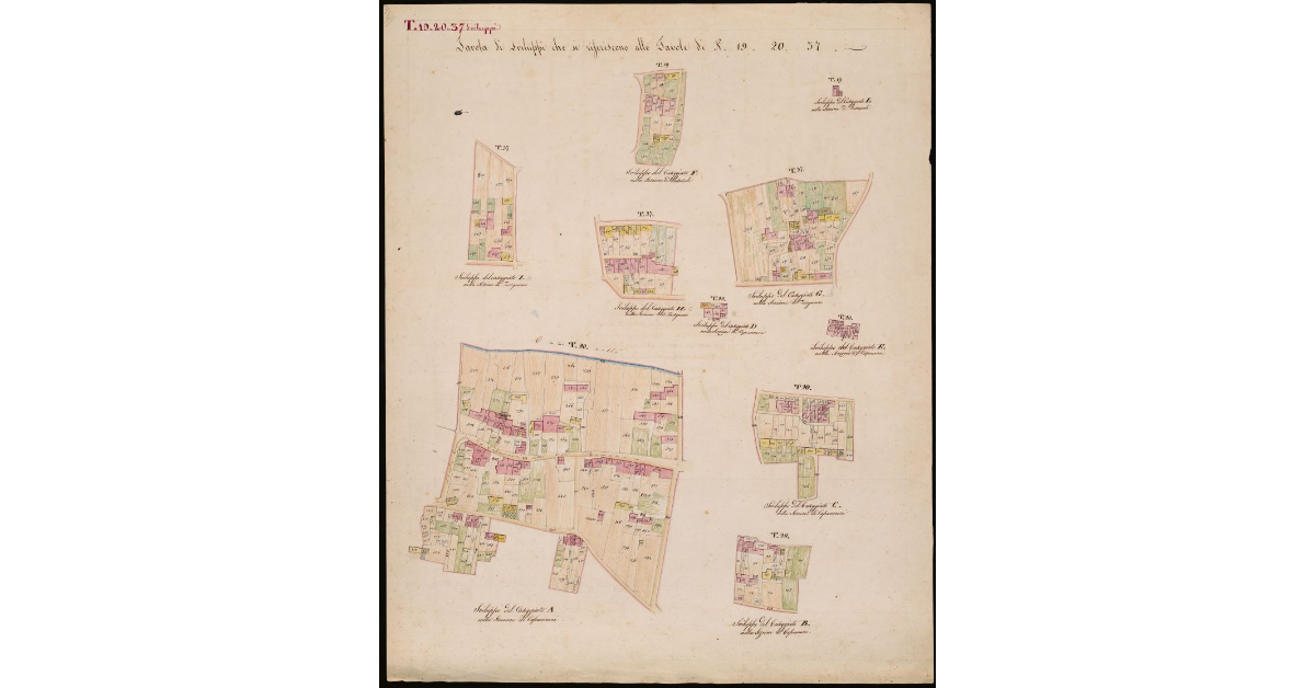 [T. 19, T. 20, T. 37 - Quinto Circondario-Sviluppi]