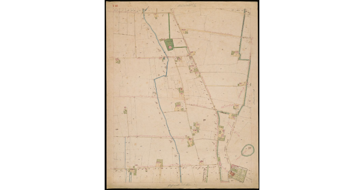 T. 23 [Quinto Circondario]