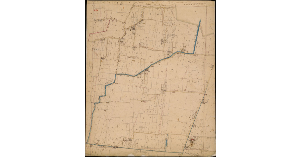 T. 31 [Quinto Circondario]