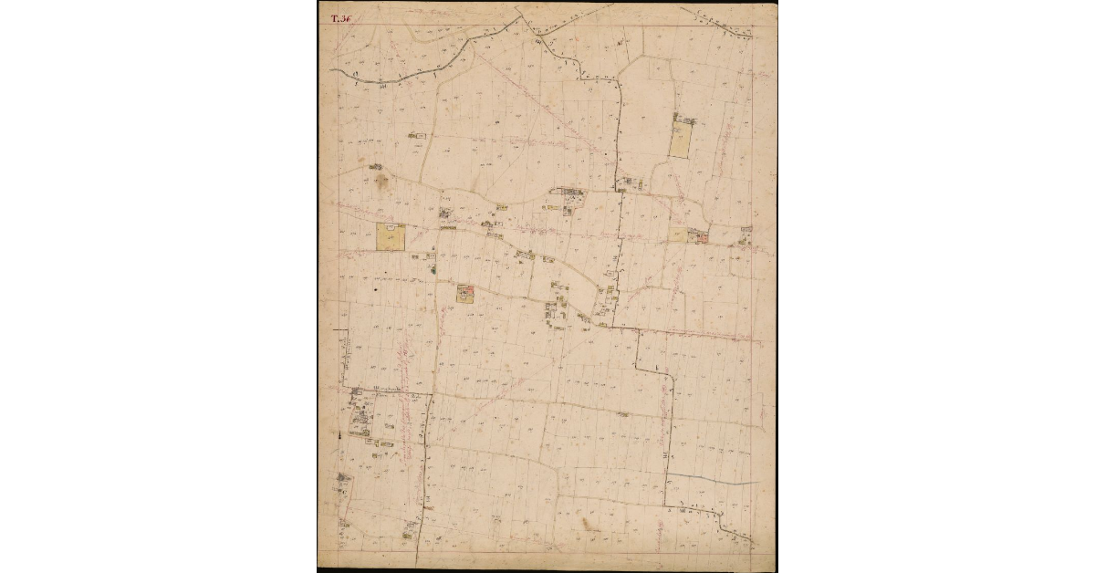 T. 36 [Quinto Circondario]