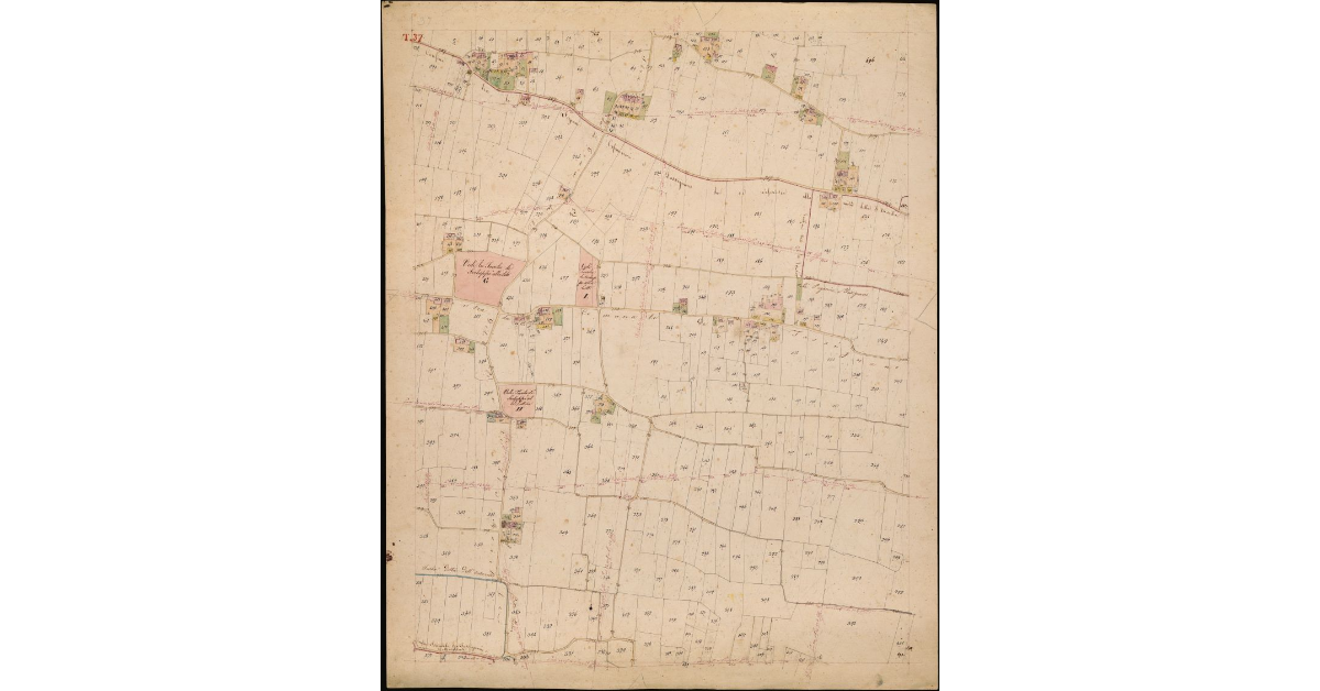 T. 37 [Quinto Circondario]