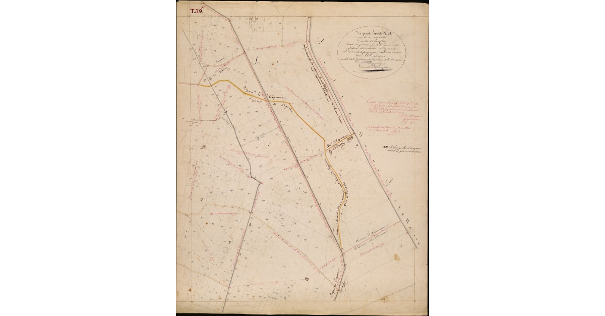 T. 39 [Prima Parte-Quinto Circondario]