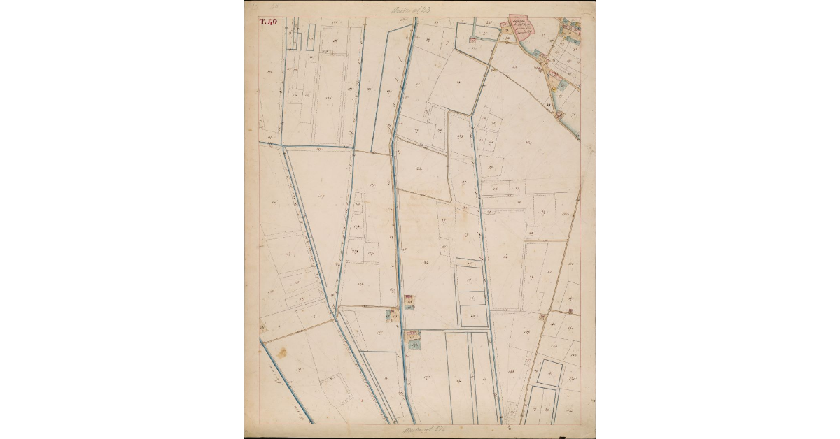 T. 40 [Quinto Circondario]