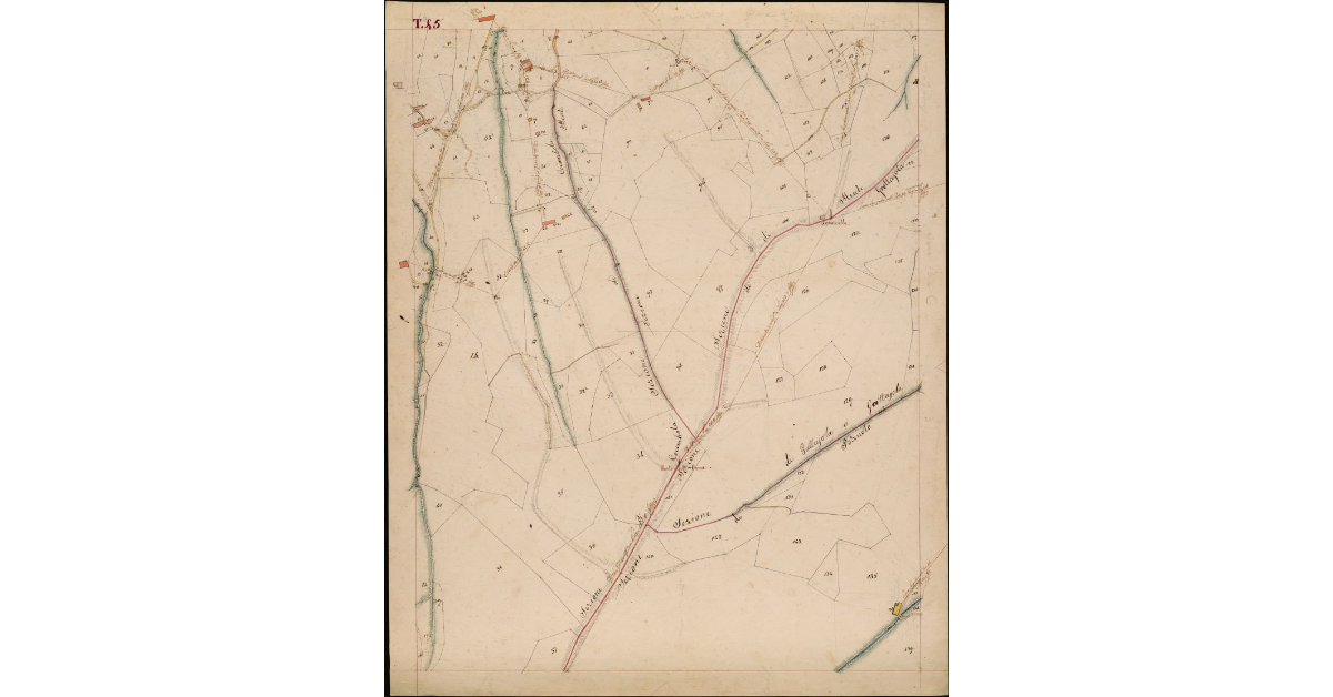 T. 45 [Quinto Circondario]