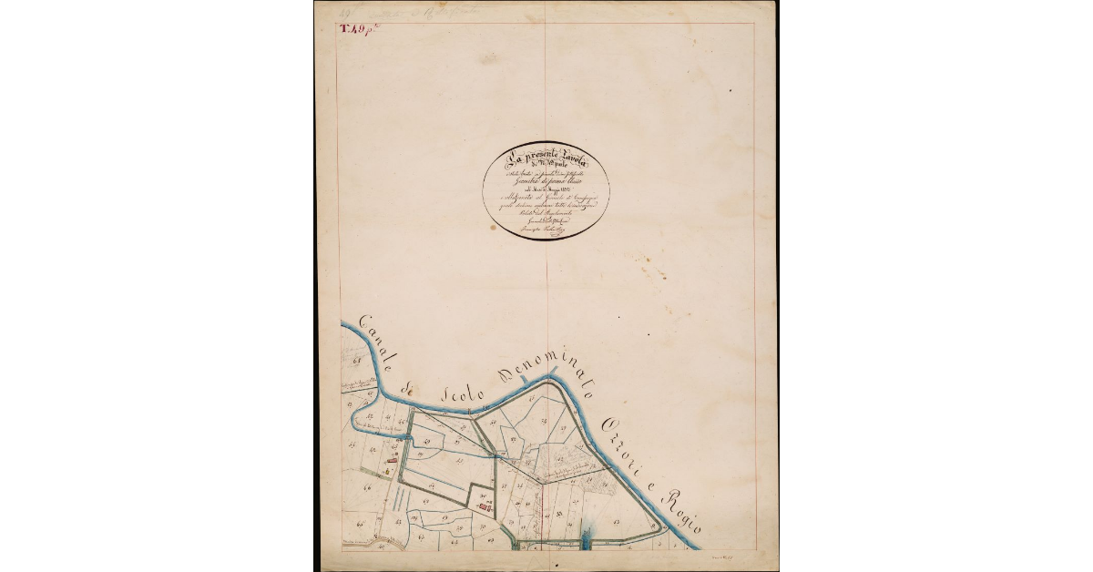 T. 49 [Prima Parte-Quinto Circondario]