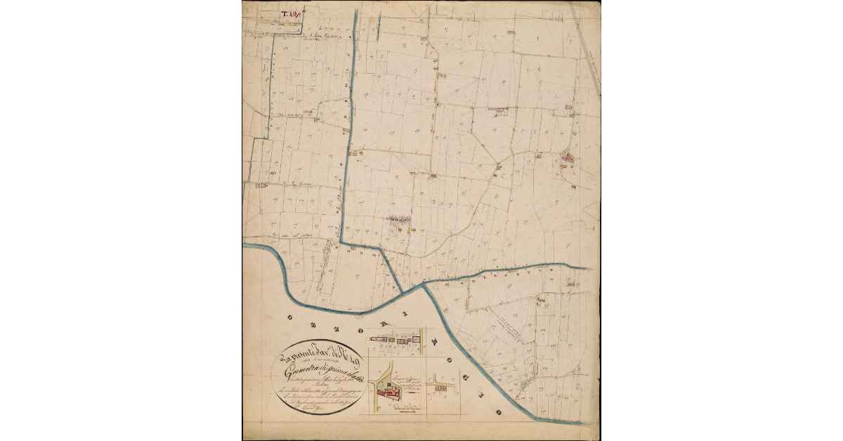 T. 49 [Seconda Parte-Quinto Circondario]