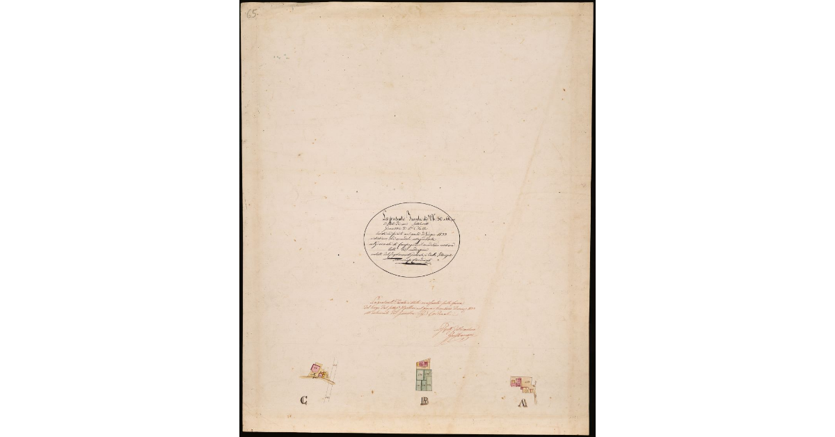 T. 50, T. 66 [Quinto Circondario-Sviluppi]