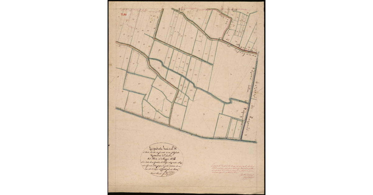 T. 55 [Quinto Circondario]