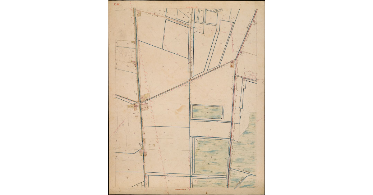 T. 58 [Quinto Circondario]