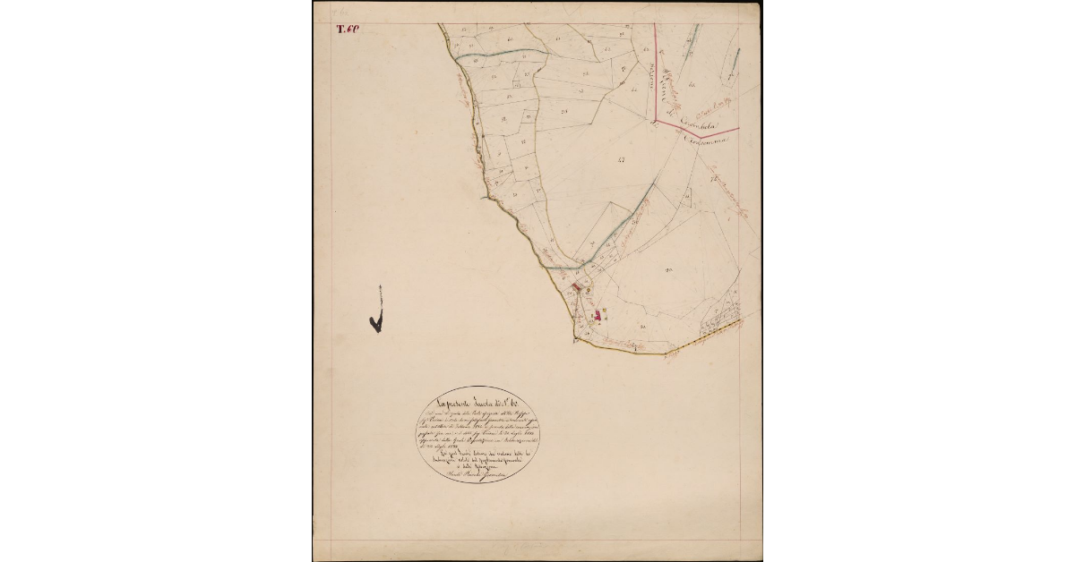 T. 60 [Quinto Circondario]