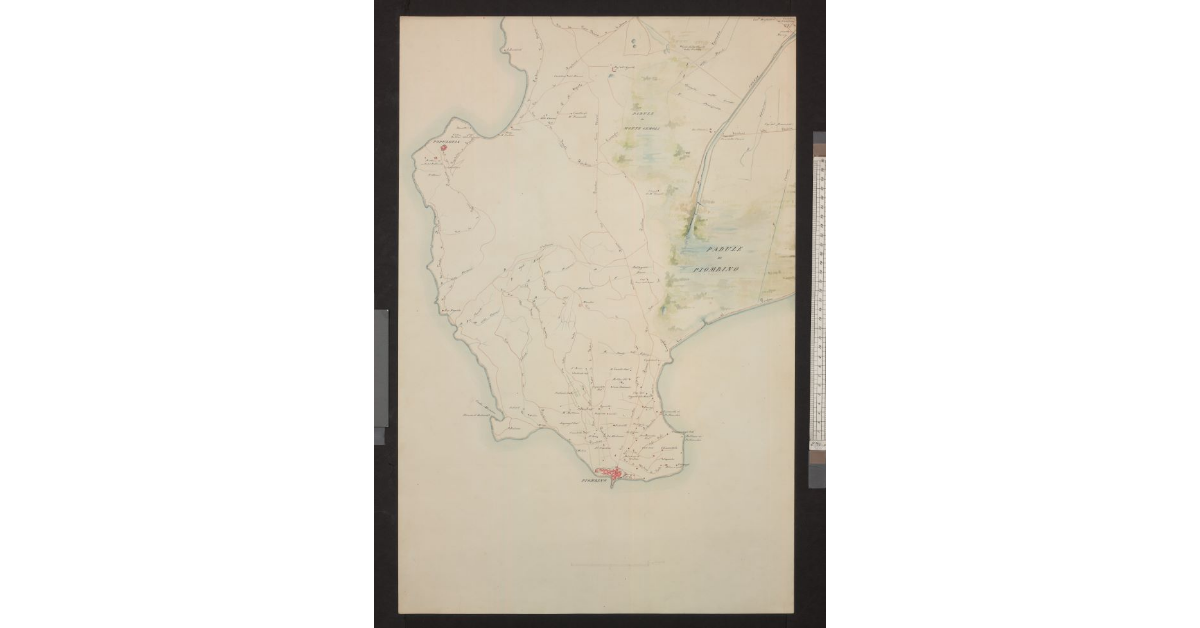 Mappa Topografica della Pianura Piombinese redatta dalle carte del Catasto dall’I. e R. Laboratorio