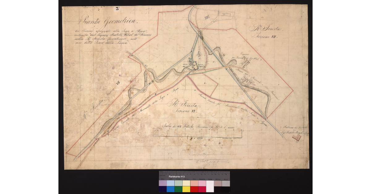 Pianta geometrica dei terreni assegnati alla sega a acqua, costruita dai Signori Fratelli Wital di Firenze, nella R. foresta casentinese, nel così detto Pian della Lama