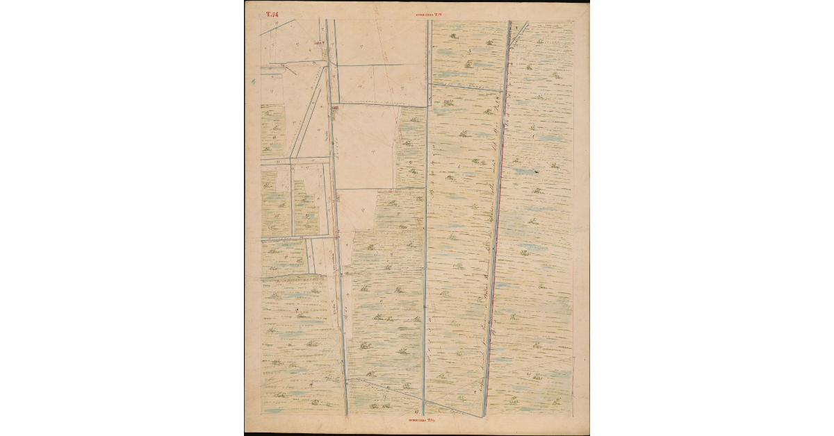 T. 74 [Quinto Circondario]