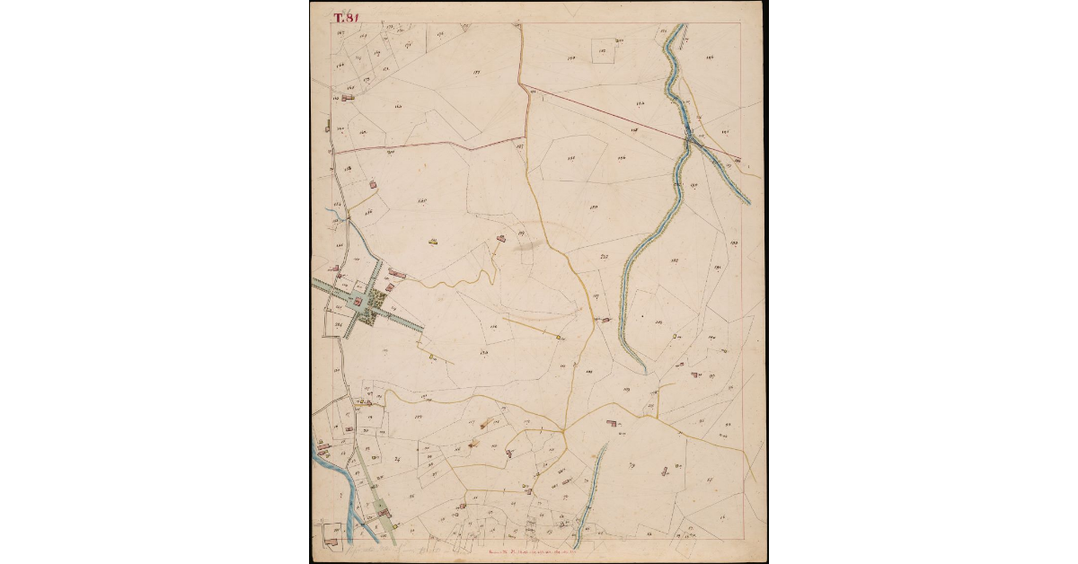 T. 81 [Quinto Circondario]