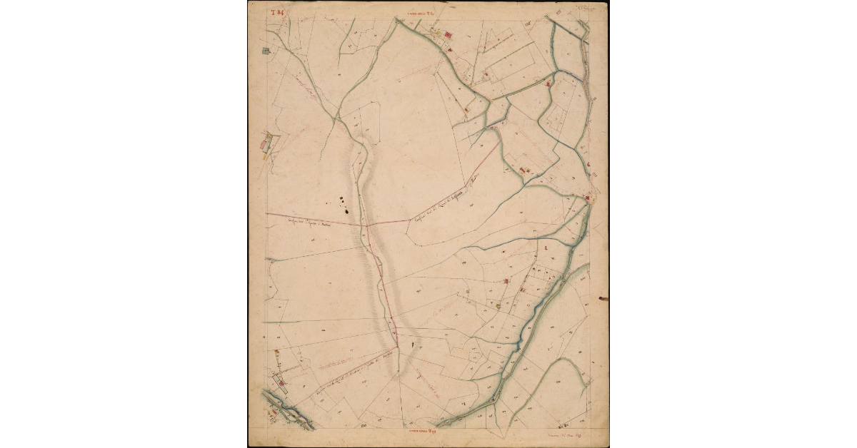 T. 84 [Quinto Circondario]