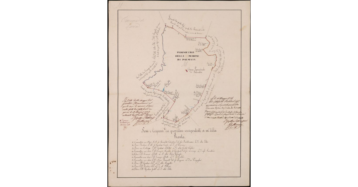 Perimetro della sezione di Palmata. Comunità di Lucca