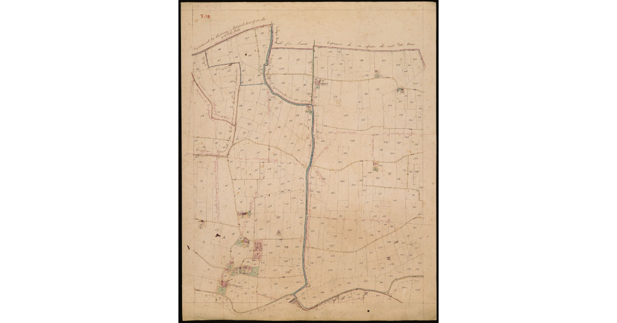 T. 19 [Quinto Circondario]