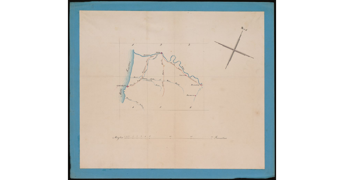 [Pianta topografica della pianura meridionale pisana]