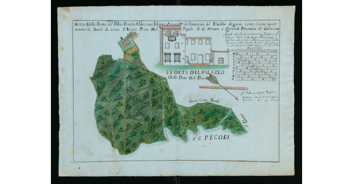 Pianta del pollaio, boscho addiacente e Palazzo annesso, di pertinenza del'Illustrissimo Signore Conte Cosimo Gualterotto Bardi de Conti di Vernio posto nell'popolo di S.Miniato a Quintole, Potesteria del Galluzzo