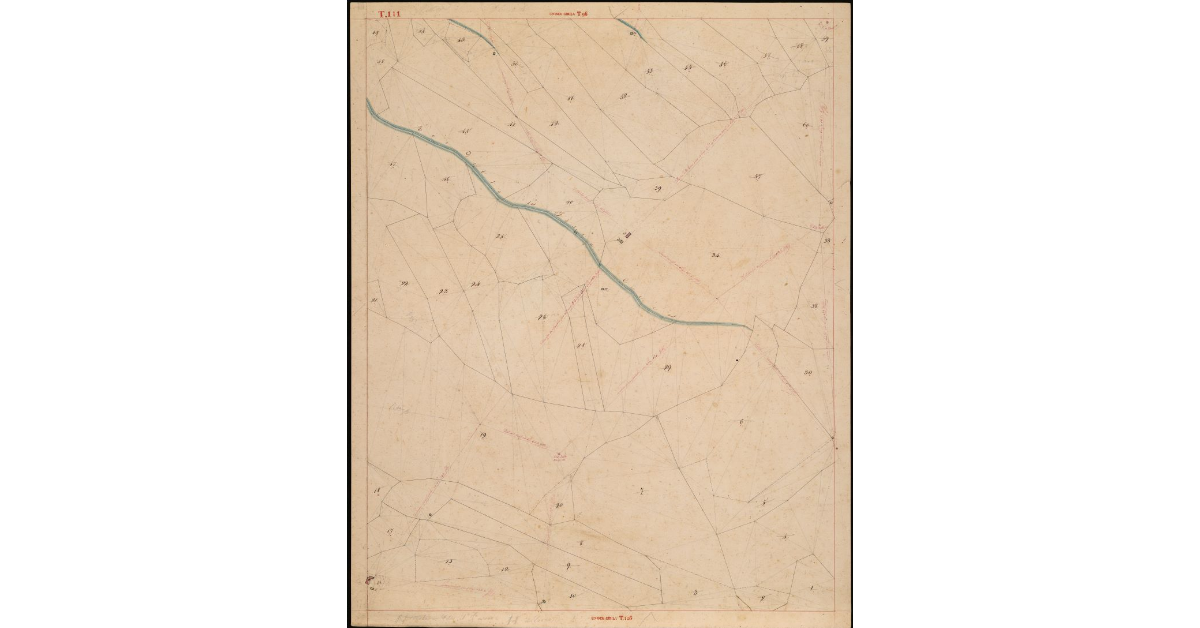 T. 111 [Quinto Circondario]