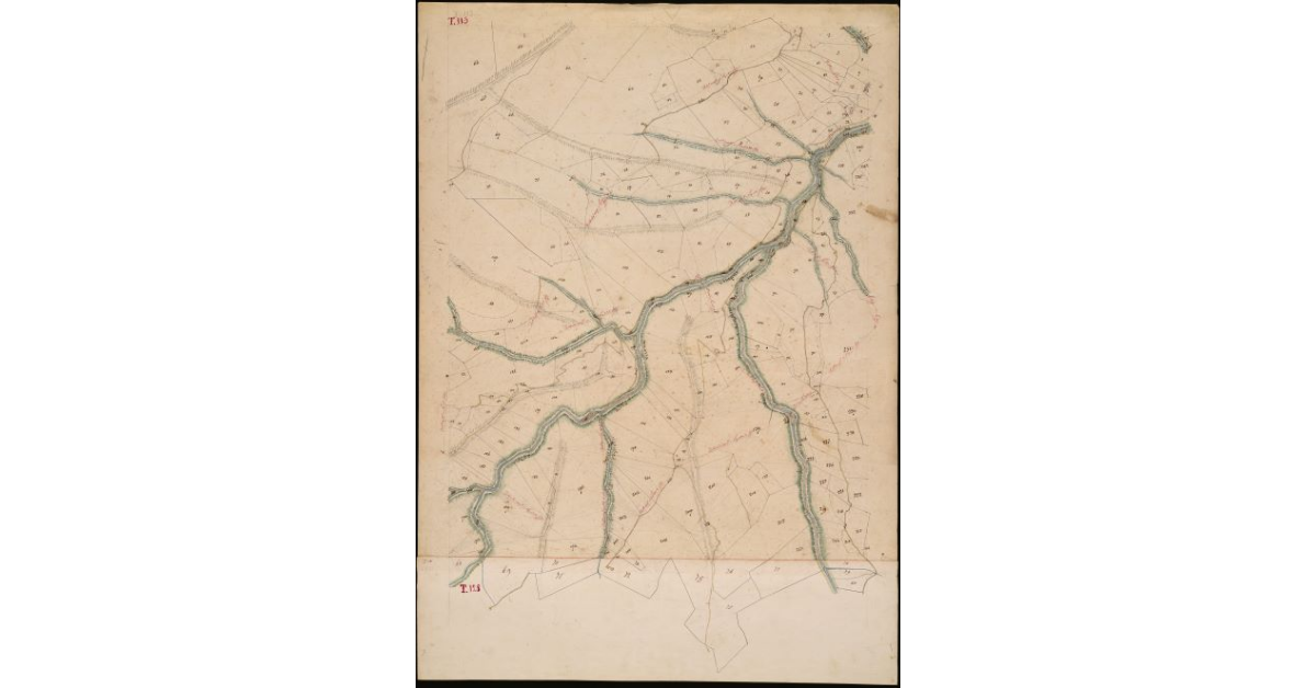 T. 113 [Quinto Circondario]