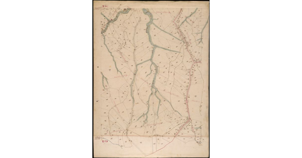 T. 114 [Quinto Circondario]