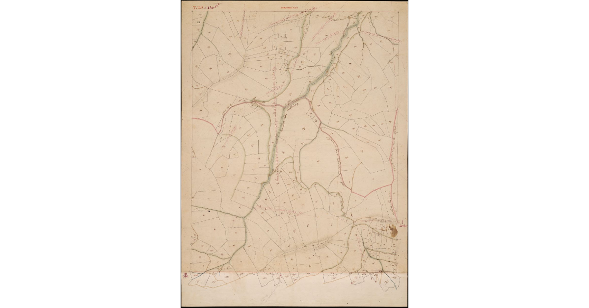 T. 115-T. 130 [Quinto Circondario- Supplemento]