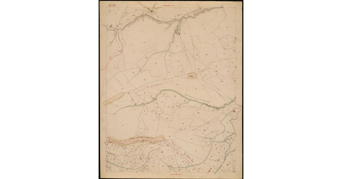 T. 116 [Quinto Circondario]