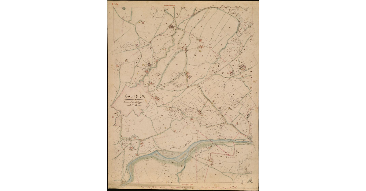 T. 117 [Quinto Circondario]