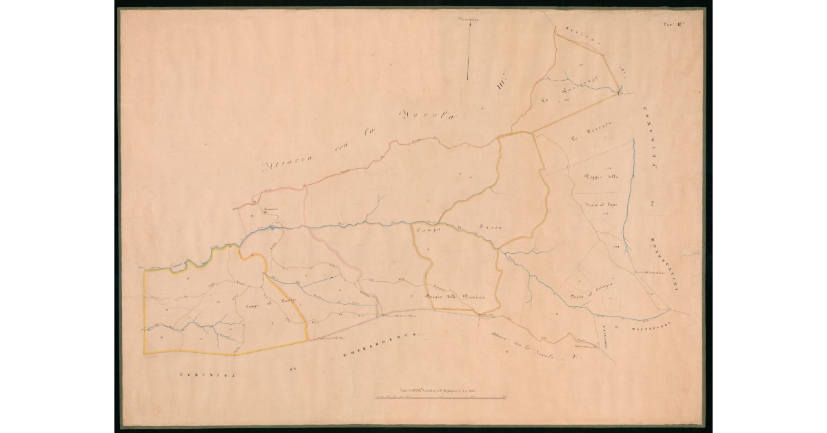 [Tavola relativa alla bandita di proprietà della I. e R. Amministrazione delle Miniere e Fonderie del Ferro ubicata intorno alla Sassa nel comune di Pomarance]