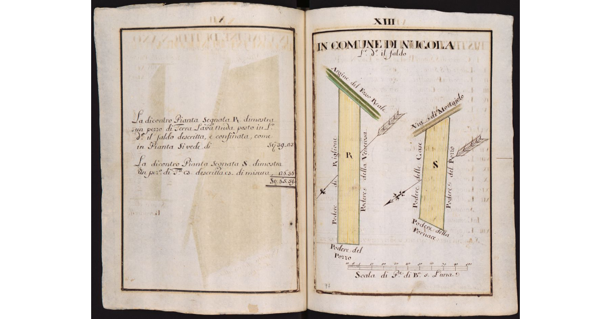 In Comune di Nugola Loco detto il Faldo