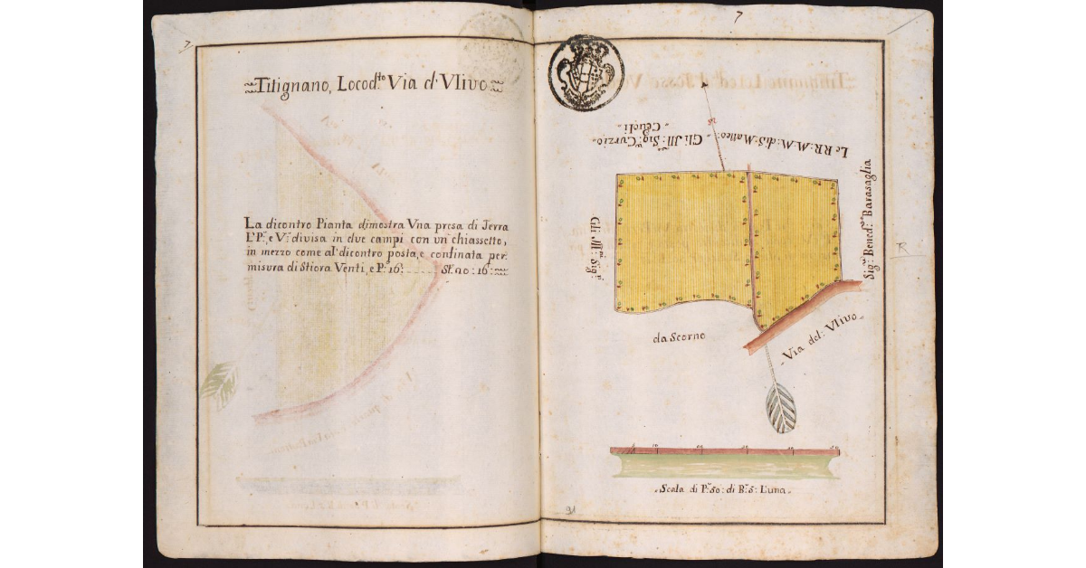 Titignano Loco detto Via d'Ulivo