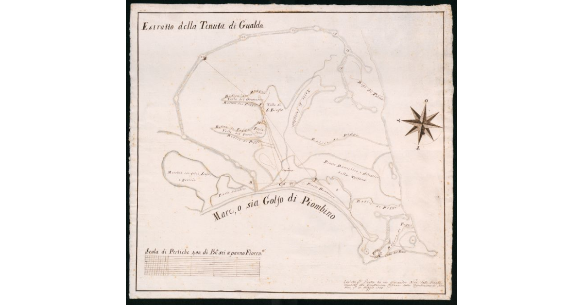 [Pianta del confine giurisdizionale tra Granducato di Toscana e Principato di Piombino nella tenuta di Gualdo]