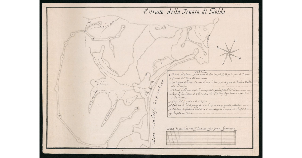 [Pianta del confine giurisdizionale tra Granducato di Toscana e Principato di Piombino nel territorio di Gualdo]