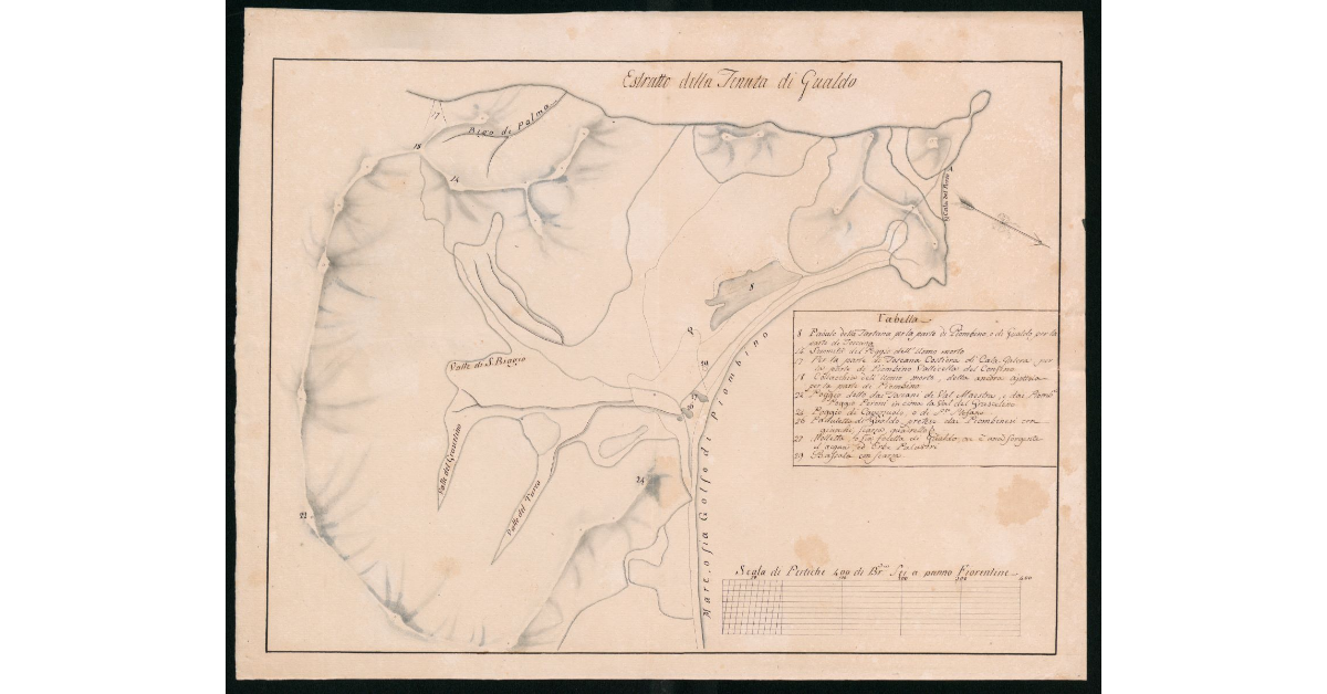 [Pianta del confine giurisdizionale tra Granducato di Toscana e Principato di Piombino nel territorio di Gualdo]