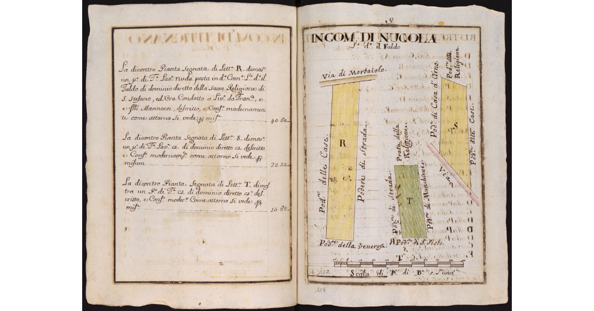In Comune di Nugola Loco detto il Faldo