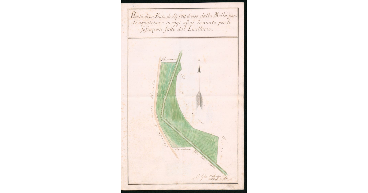 Pianta di un Prato di Stiora 109 diviso dalla Molla parte aquatrinoso in oggi assai risanato per le fossazioni fatte dal Livellario