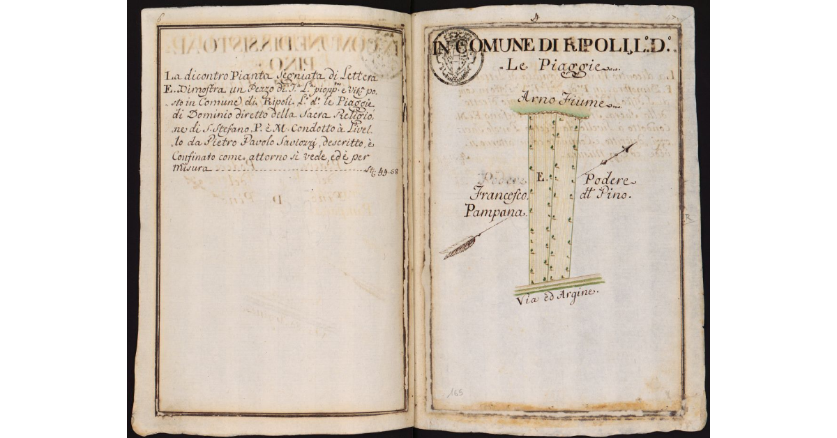 In Comune di Ripoli. Luogo detto Le Piaggie