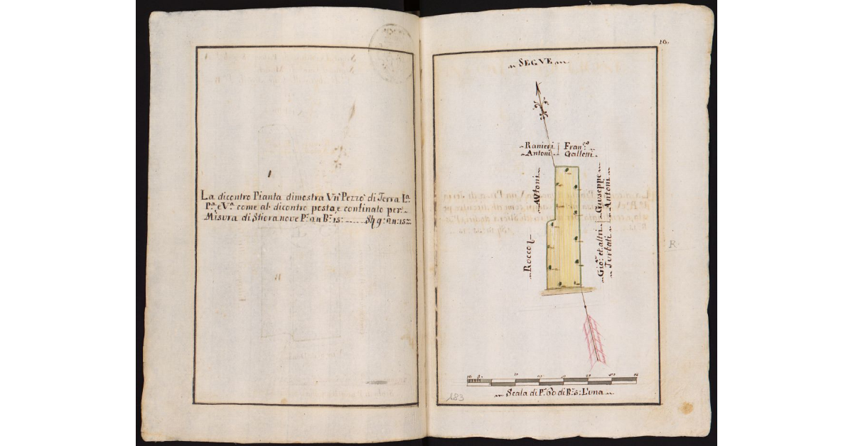 [Terreni nei comuni di Pettori e Munchione]