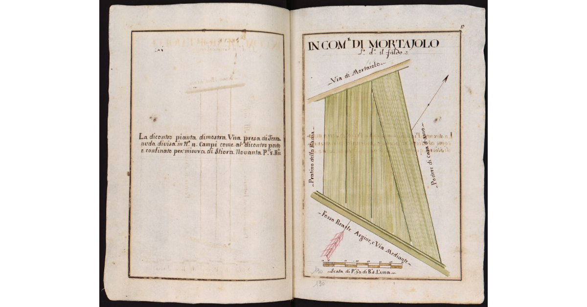 In Comune di Mortajolo Loco detto il Faldo