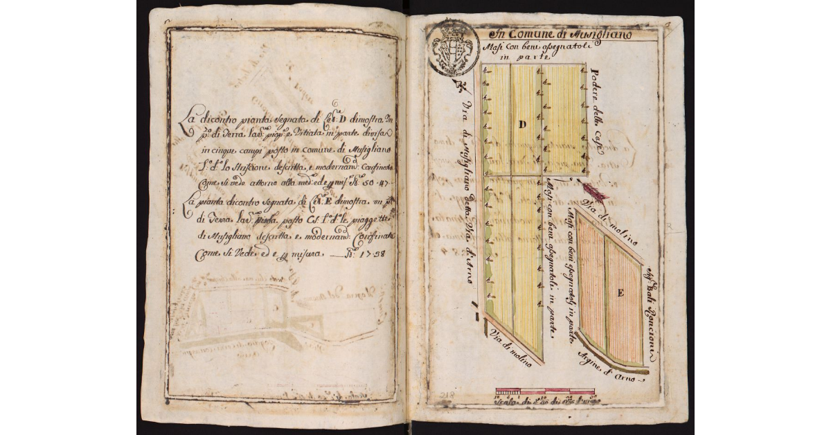 In Comune di Musigliano