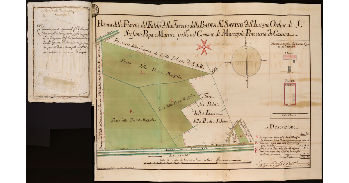 Pianta delle Praterie del Faldo della Fattoria della Badia S. Savino [...] poste nel comune di Mortajolo, Potesteria di Cascina