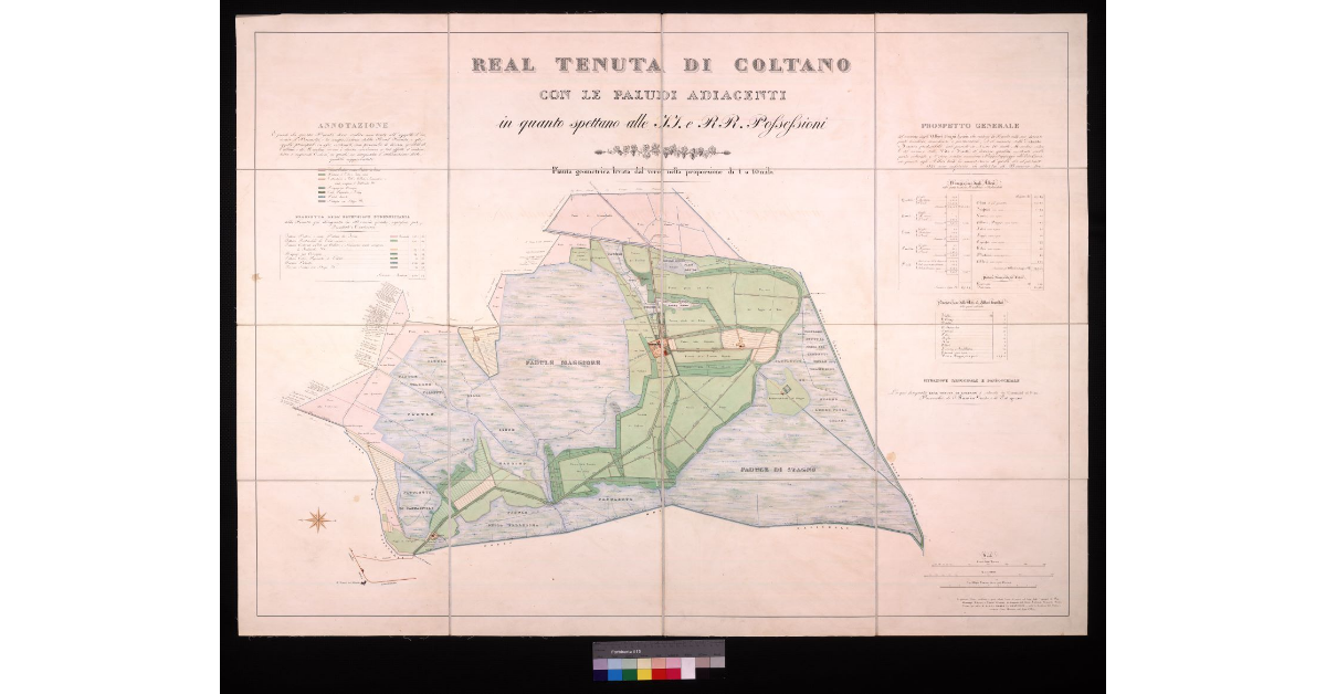 Real tenuta di Coltano con le paludi adiacenti in quanto spettano alle II. e RR. Possessioni. Pianta geometrica levata dal vero nella proporzione di 1 a 10.000