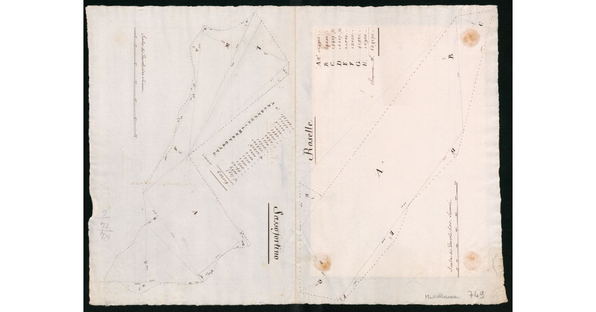 [Disegni dei confini della dogana di Roselle e Sassofortino]